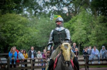 Nationale Canondagen